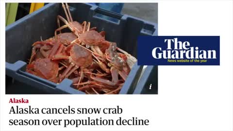 Billions of crab mysteriously Disappears