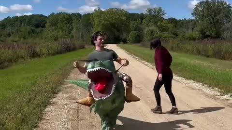 If People Rode Dinosaurs Instead of Walked.