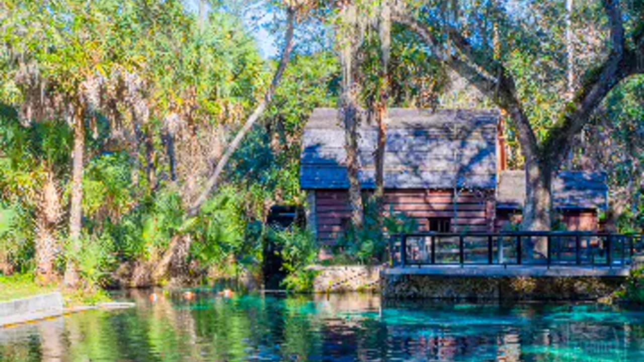 Rainbow springs