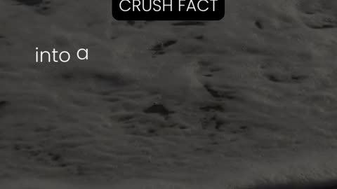 Your crush's voice can turn ordinary words... Crush Fact