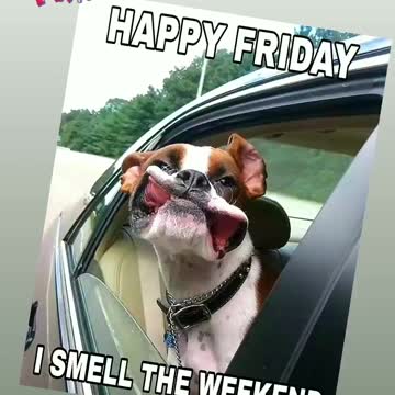 Happy Friday