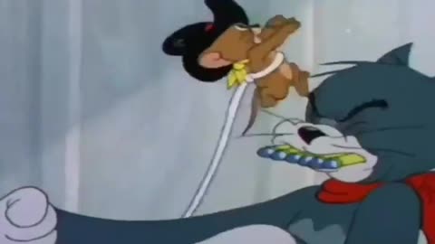 Tom and Jerry cartoon video