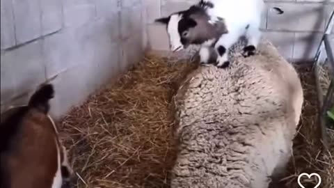😛😝😜Me Trying to wake the sheeple up over the last 3 years!!!