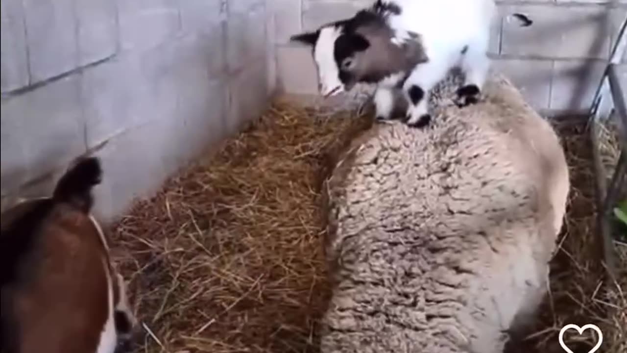 πππMe Trying to wake the sheeple up over the last 3 years!!!