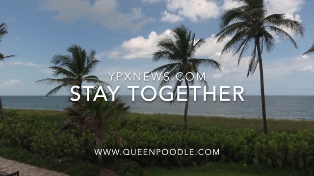 Stay Together