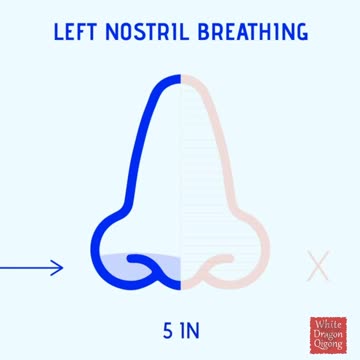 Left Nostril Breath