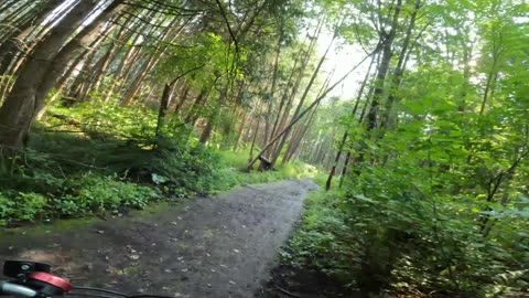 🚲 Bike Ride Through Pinhey Forest In Ottawa 🌴 Canada 🍁