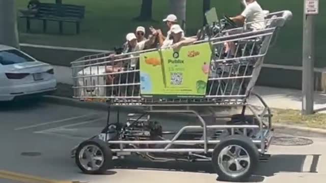 Large shopping cart