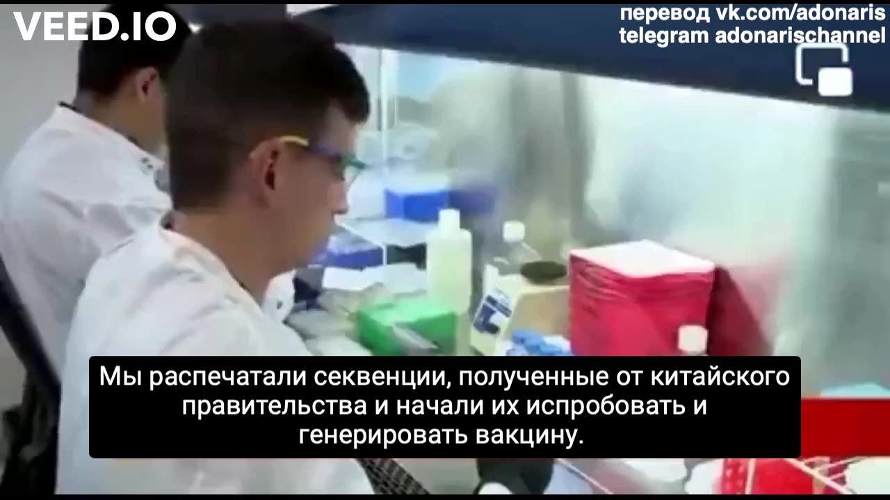 The fake virus sequence...