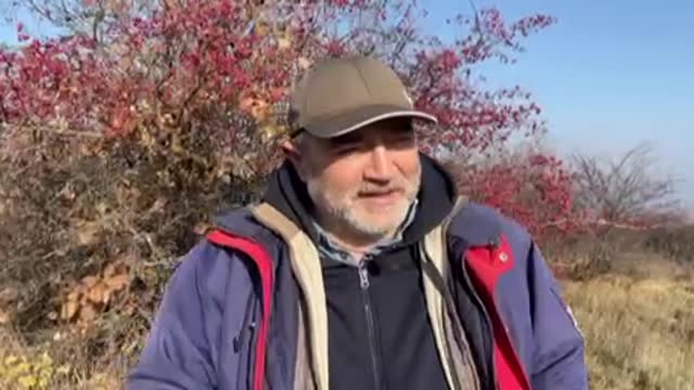 Am stârnit cuibul de năpârci