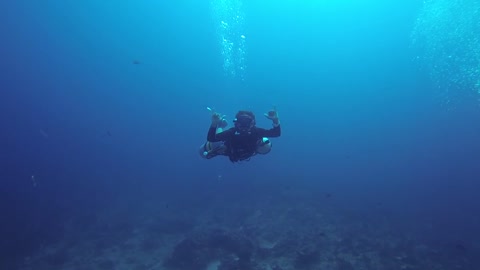 Straight to the bottom of the ocean