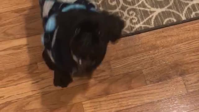 Dinovite is Dinomite