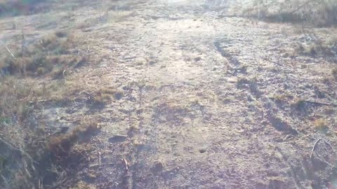 Salinas valley river bed