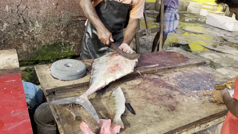 Amazing!! Fish Cutting Skill By Expert Fish Cutter Man | Giant Fish Cutting Village Sri Lanka