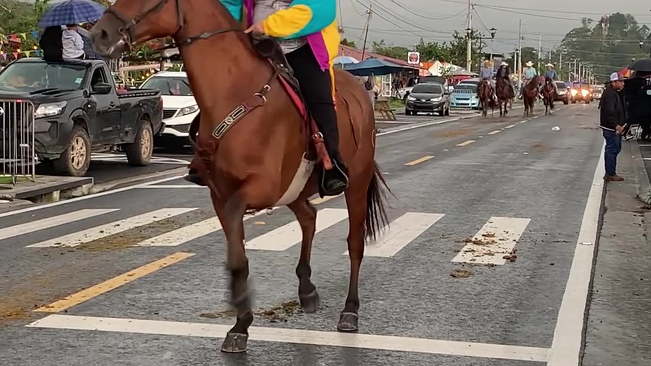 Gran Cabalgata - Volcan Panama Horse Parade Tierras Altas Chiriqui