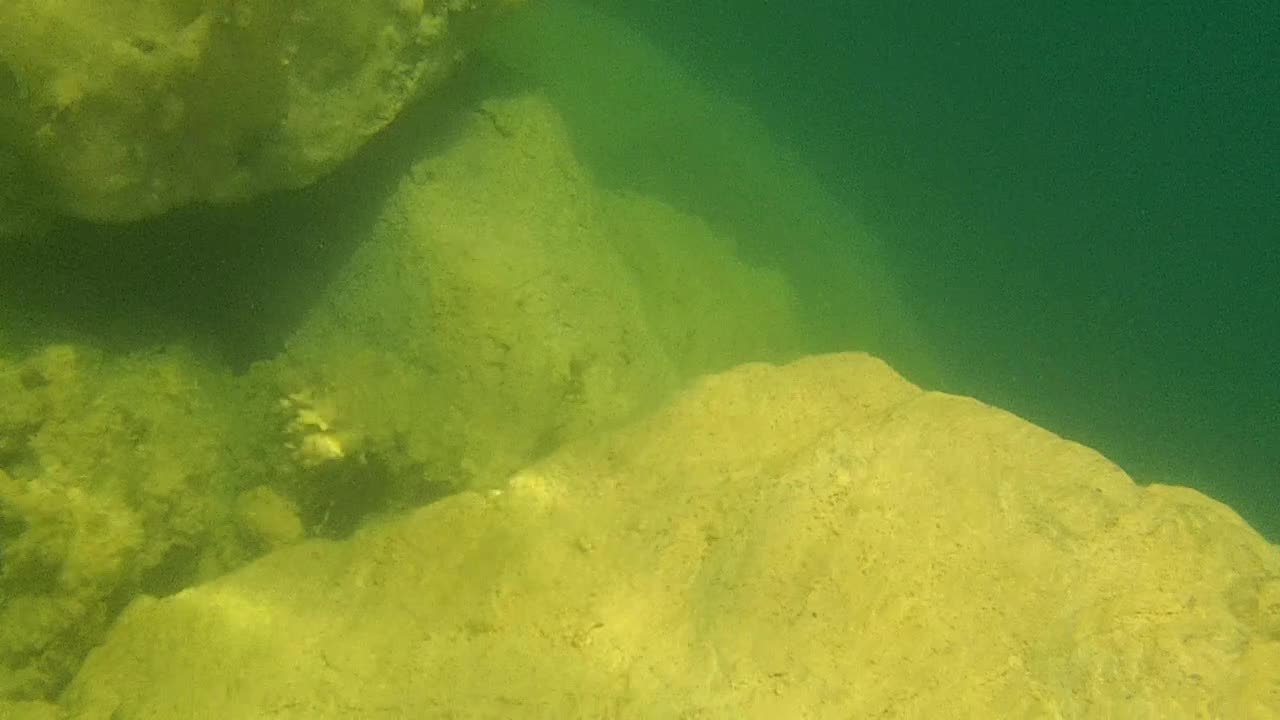 Exploring Blue Cove Hideaway