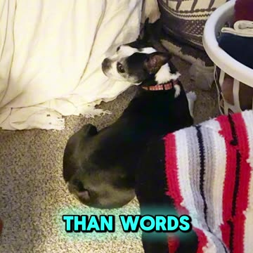 Action speaks louder