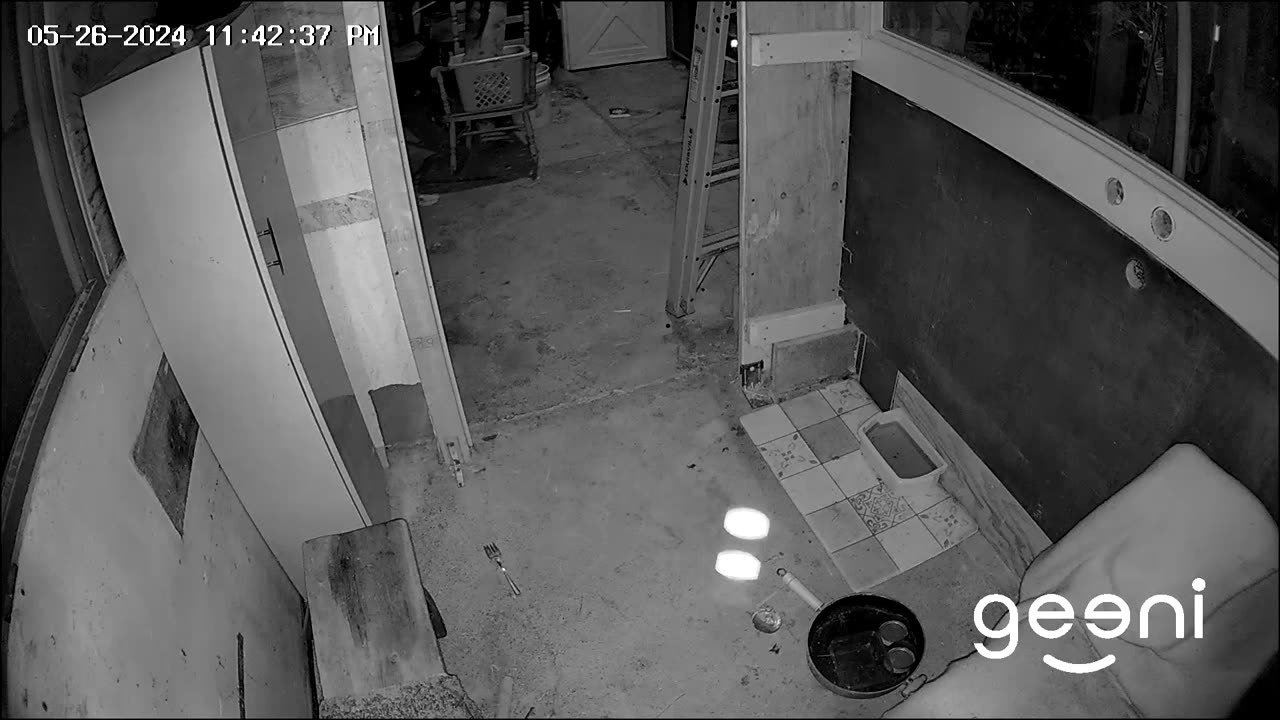 Paranormal Orb in Cat room of barn.