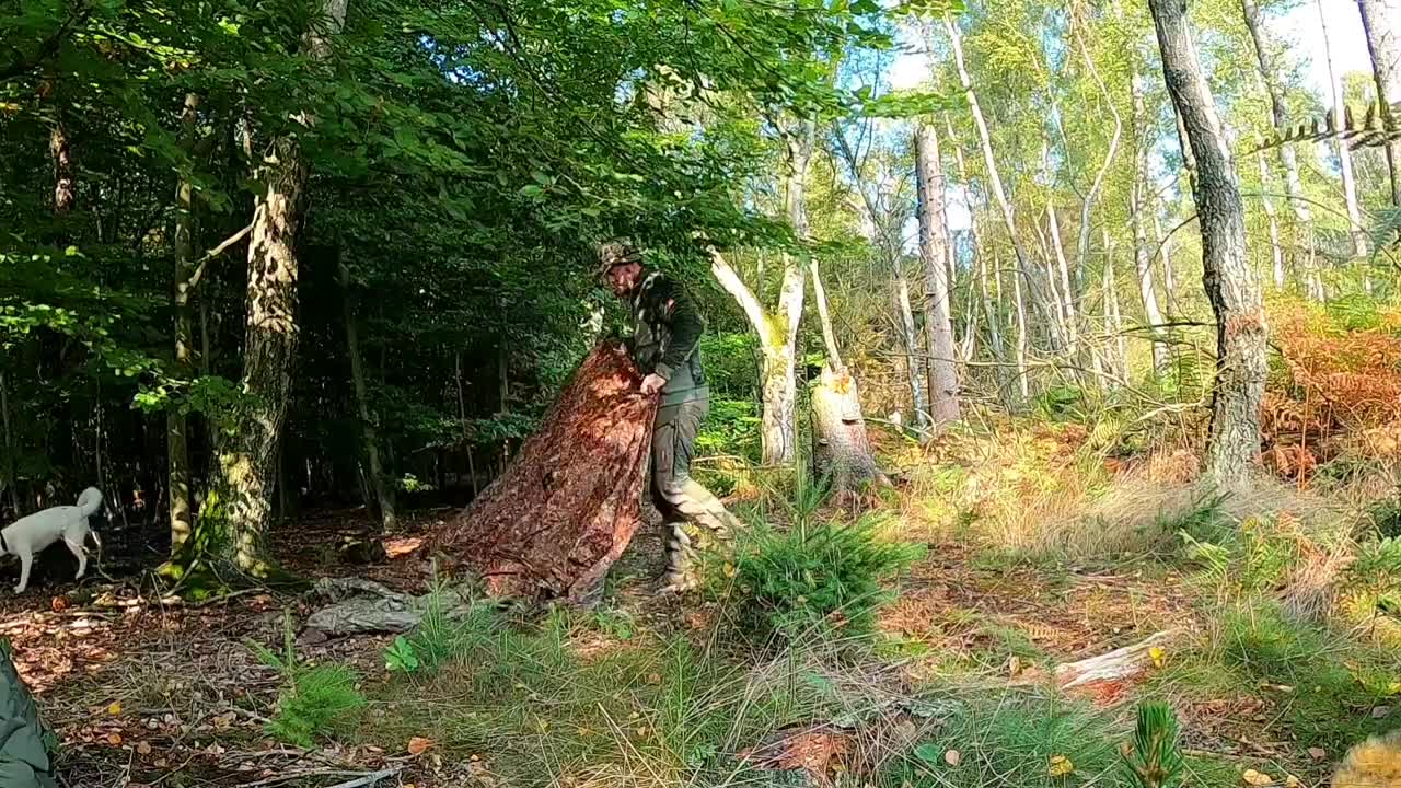 Half TIPI TARP camping | Find Kienspan | Cooking Fried potatoes | Relax with Dogs | Forest ASMR-12