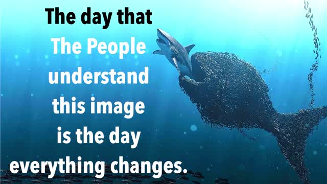 The Day Everything Changes...