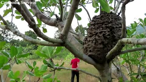 Amazing Technology | Make Your Own Red Basket Bird Trap