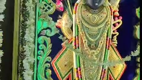 Shreenathji darshan