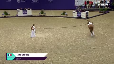 Manon Moutinho is the new WORLD CHAMPION | ECCO FEI World Championships 2022