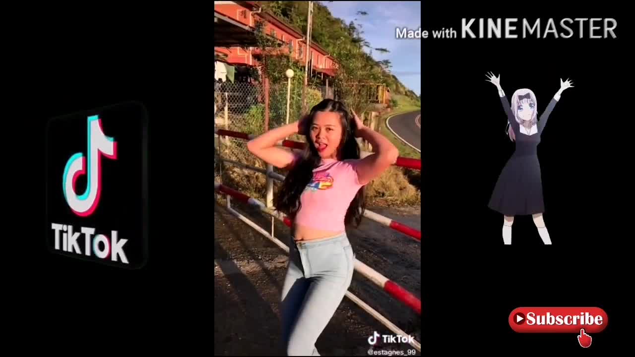 tiktok compilation popular june tik tok