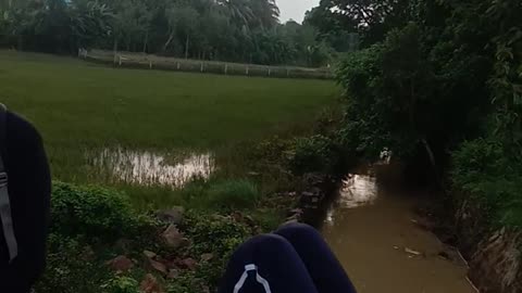 The natur view love