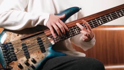 When you need to play fretted bass and fretless bass at the same time