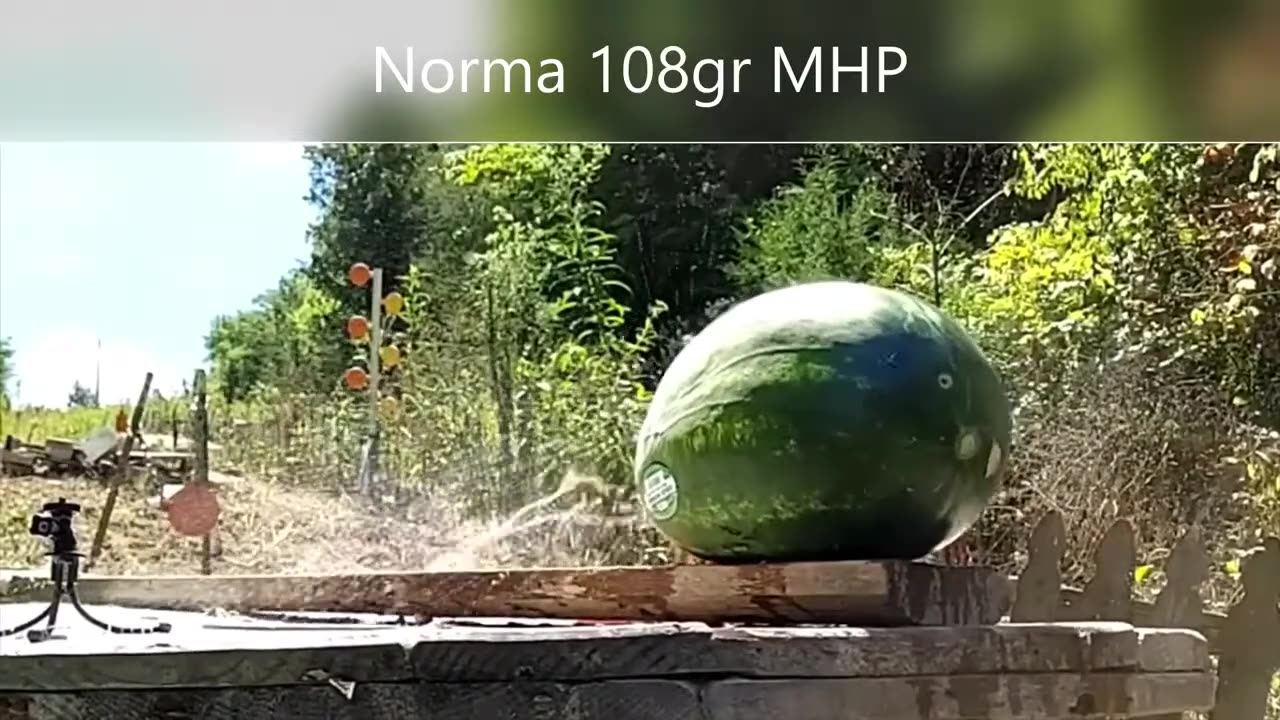 Watermelons Don't Lie!