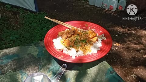 Cooking pork 🐖 belly (meat) curry 😋😋😋