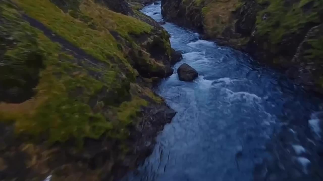 Nature