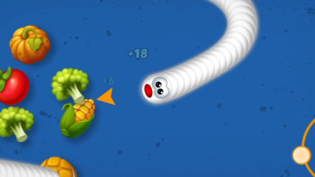 Snake Charmer - Only show star