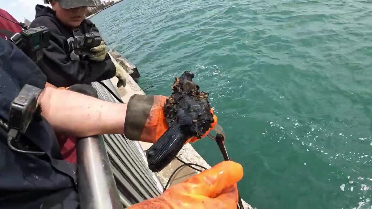 The Ultimate Honey Hole Found Magnet Fishing!! This Spot Is Unbelievable!!