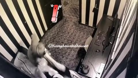 best funny video 9 - becames funny 🤣😂
