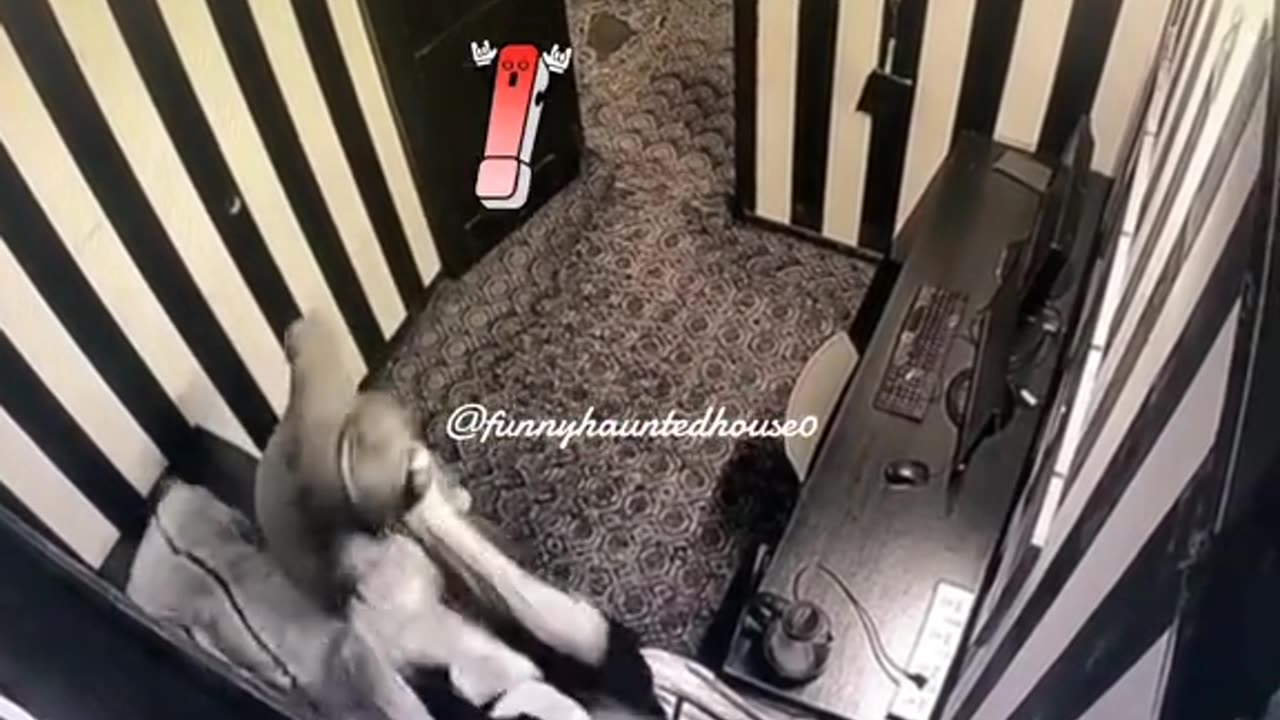 best funny video 9 - becames funny 🤣😂