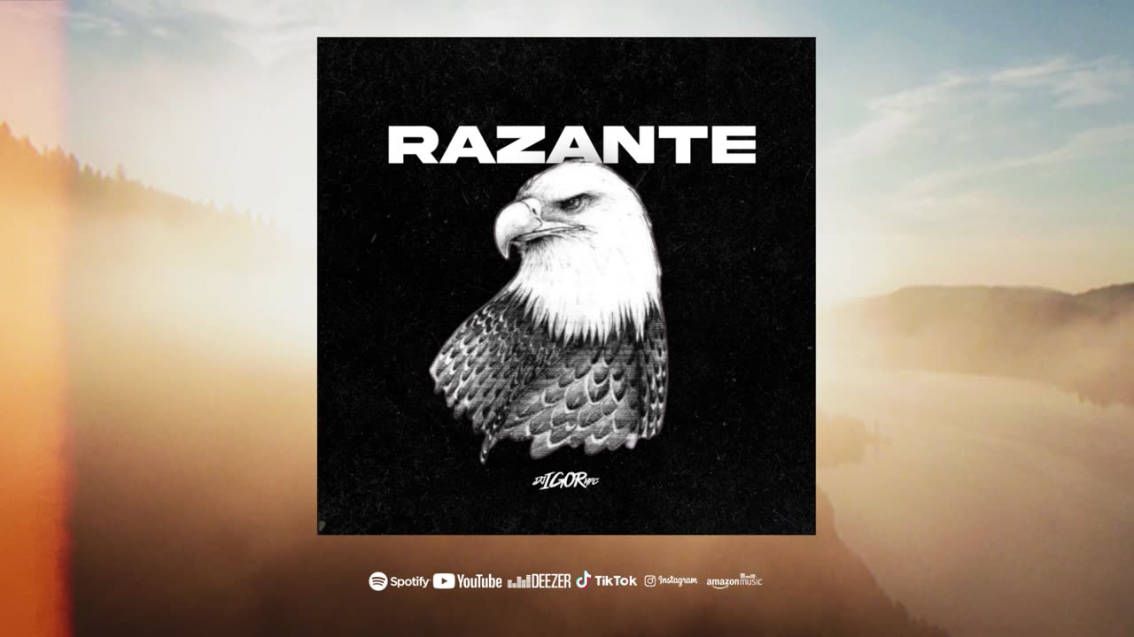 Razante | Beat de Funk | Instrumental 2023 ( @djigormpc )