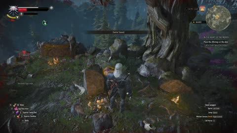 The Witcher 3 contract in the heart of the woods part 2 choosing harald side