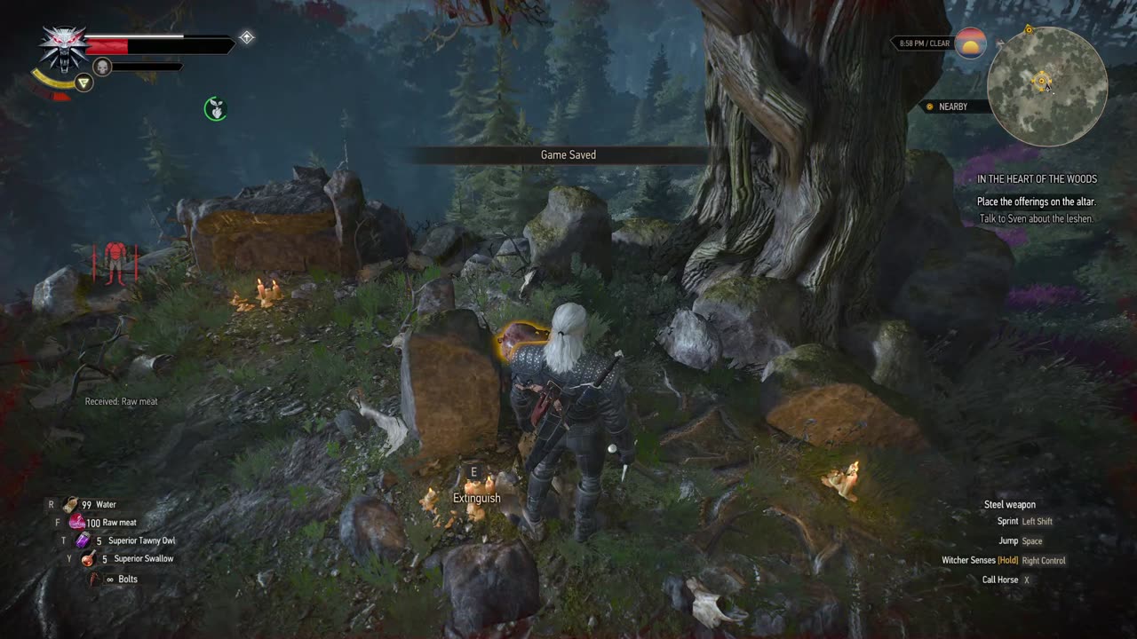 The Witcher 3 contract in the heart of the woods part 2 choosing harald side