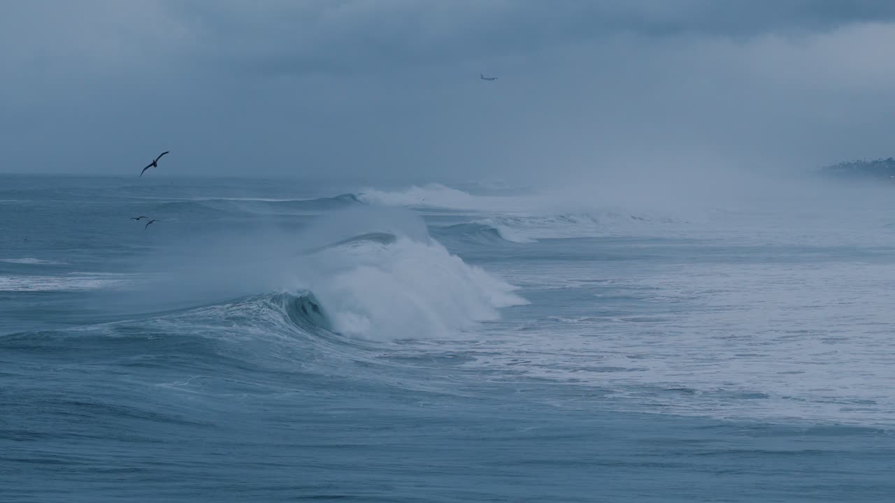 Sea view, Birds fling.