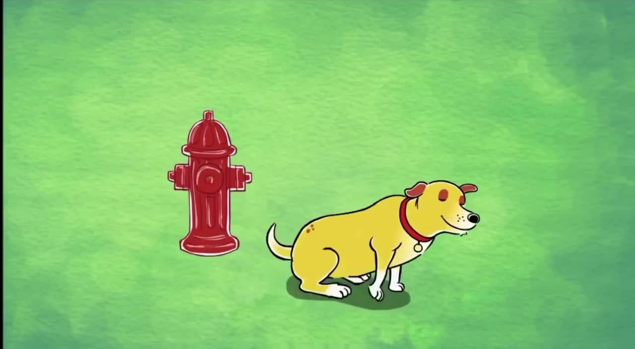 Martha was an average dog..