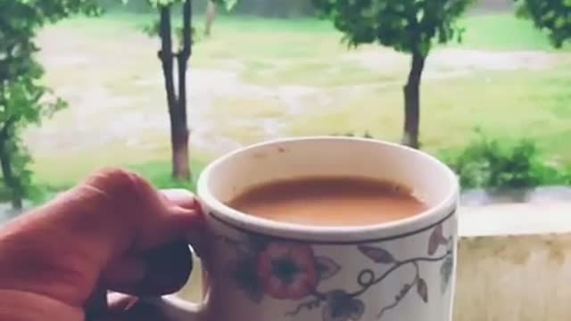 Only For Tea Lovers | Must Watch Tea Lovers 💖🍵