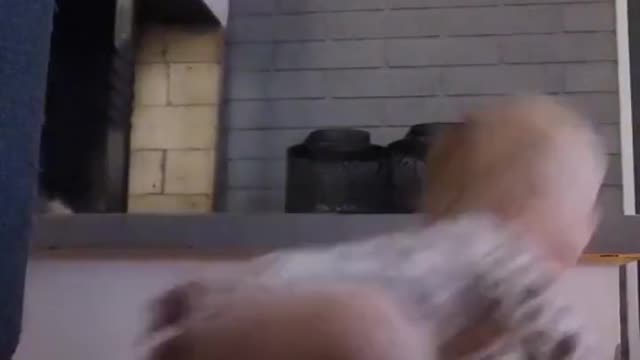 Come back here, baby