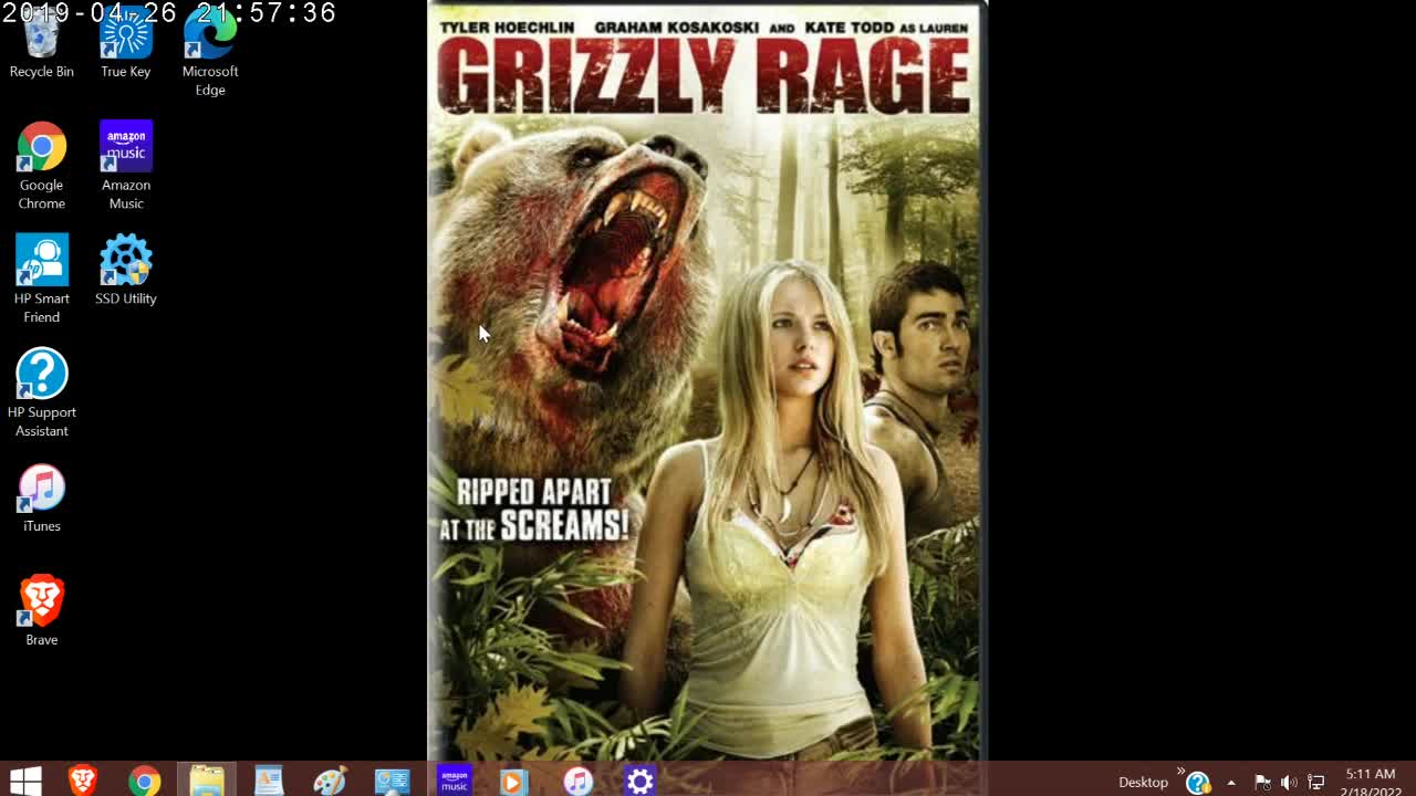 Grizzly Rage Review