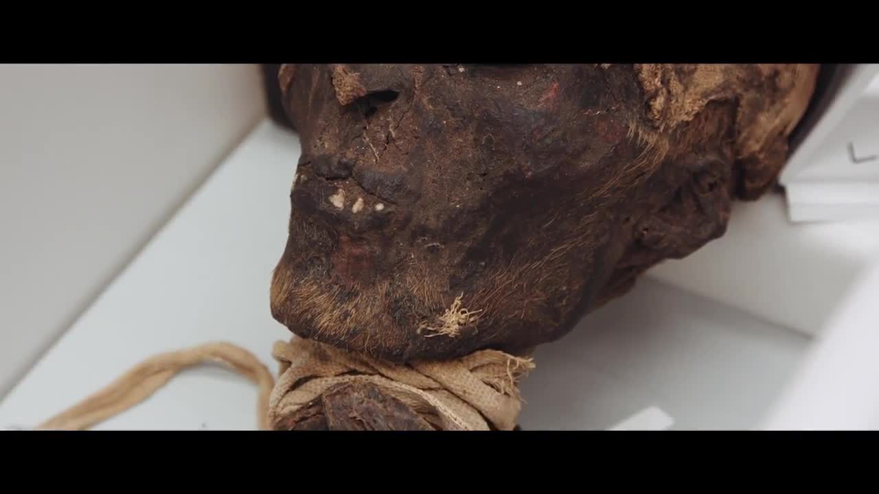 Egyptian Mummy Artefact