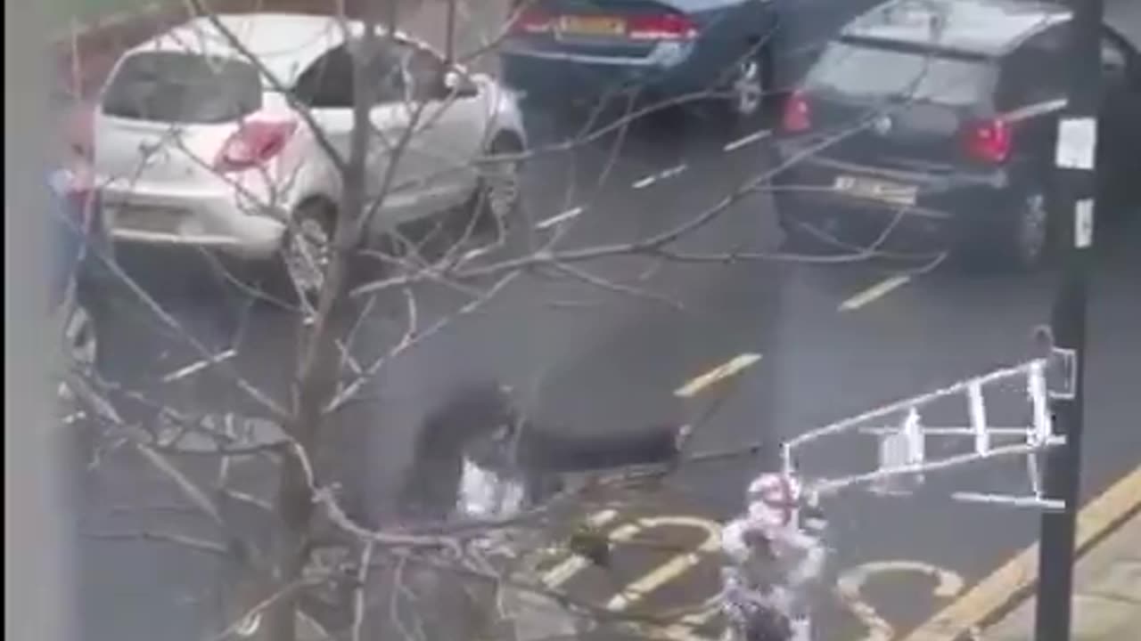 Street fight in London over Palestinian flag