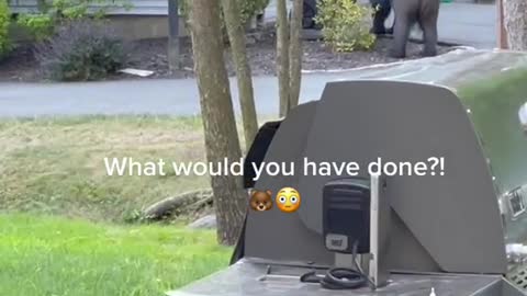 What would you have done?!