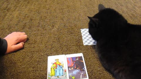 A Tarot Reading For YOU! 💘 Quick PICK A CARD Read Of Wisdom, Advice, Or Something Else