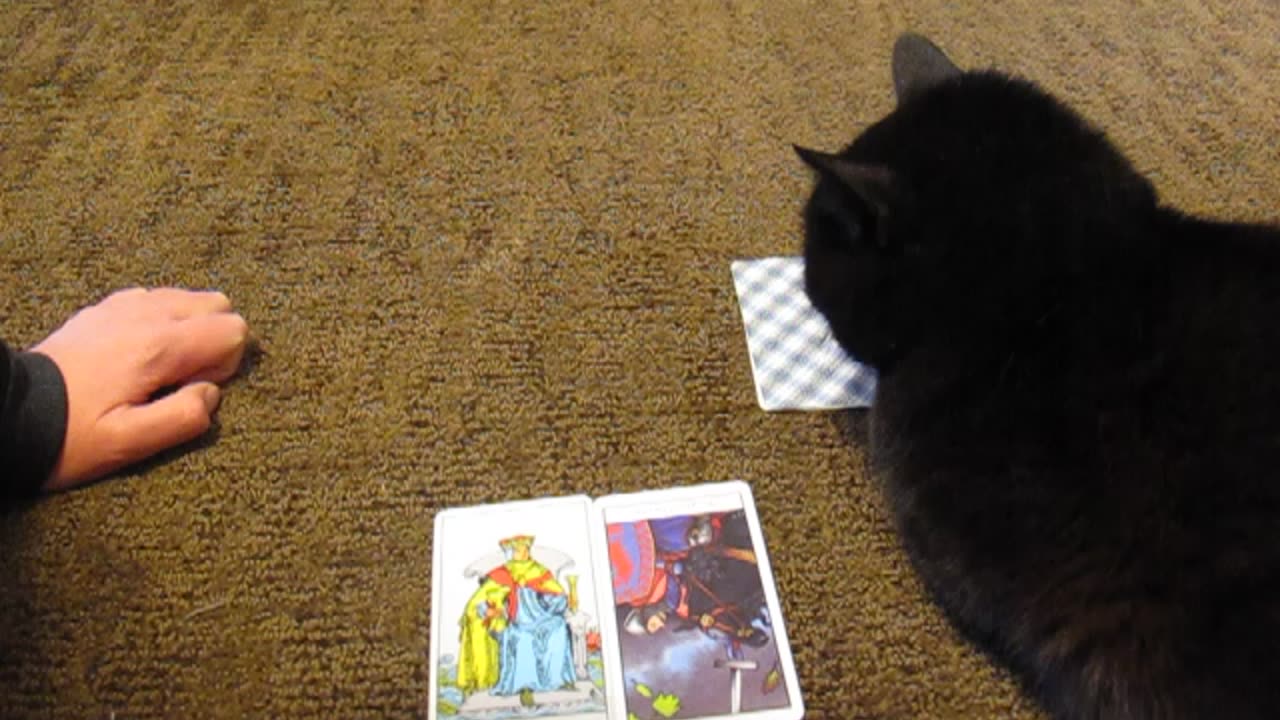 A Tarot Reading For YOU! 💘 Quick PICK A CARD Read Of Wisdom, Advice, Or Something Else